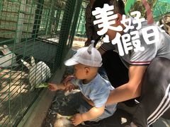 -大明幻境第一城