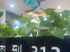 -313羊庄鲜羊火锅·鲜羊肉烧烤(李村店)