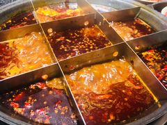 -大虎重庆老火锅(正弘城店)