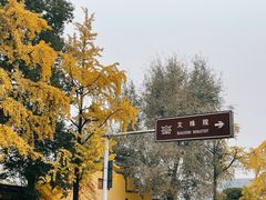 -成都市文殊院