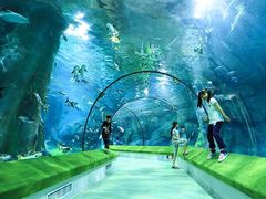 -福州罗源湾海洋世界旅游区
