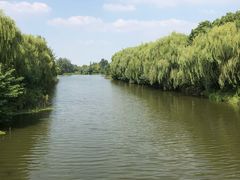 -溱湖国家湿地公园