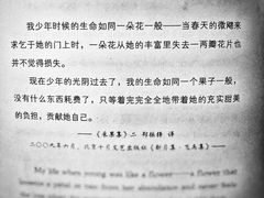 -山城老炮火锅城