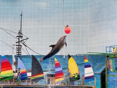 -海合安天津极地海洋公园