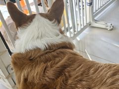 -平行世界·猫咖(首经贸店)