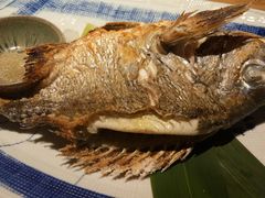 鲷鱼半烤-綱元·海鲜豆捞(明州里店)