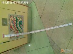 -汤姆熊欢乐世界·史莱姆怪兽(正大店)