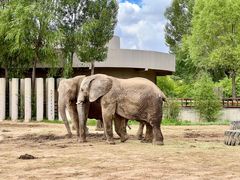 -鄂尔多斯野生动物园