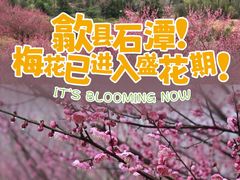 -石潭村