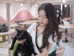 -喵园·猫主题咖啡厅·撸猫·猫咖(国贸店)