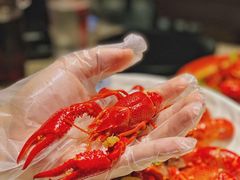 -沪小胖小龙虾(淮海中路旗舰店)