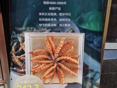-上海市第一医药商店(南京东路店)