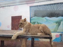 -大连森林动物园