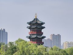 -迎泽公园