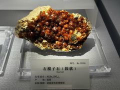 -湖南省地质博物馆
