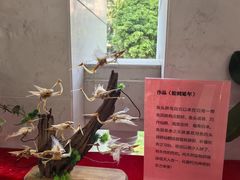 -华侨公园