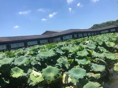 -千龙湖生态旅游度假区