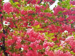 -西安理工大学(金花校区)