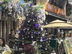 -运河游船(武林门码头)