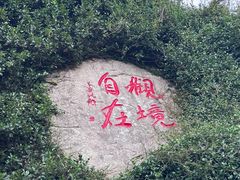 -九华山聚龙大酒店