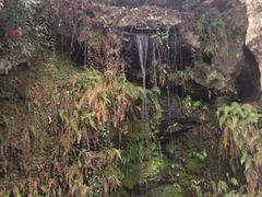 iphone_upload_pic-杭州黄龙洞