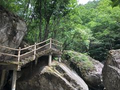 -牛背梁国家森林公园