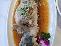 -刘胖子家常菜·蹄花焖藕(中南店)