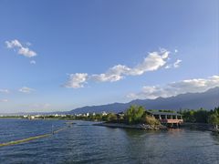 -才村湿地公园