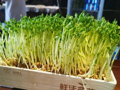 -捞神煲汤火锅(湖滨商业街店)