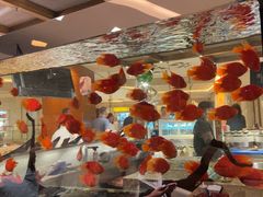 -怡咖啡海鲜自助餐厅(浦东香格里拉店)