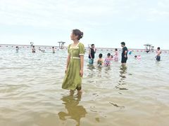 -碧海金沙