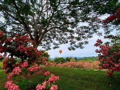 -中国科学院西双版纳热带植物园