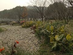 -苏州上方山国家森林公园