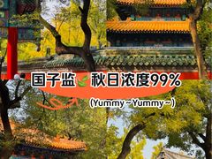 -北京国子监胡同