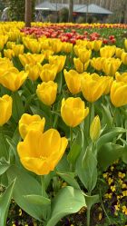 -派对猴生日派对策划(浦东店)