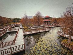 -五缘湾湿地公园