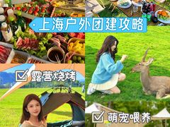 -上海山野camping·户外天幕烧烤·团建拓展营地