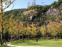 -铜锣山矿山公园