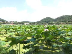 -红山村
