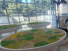-上海外滩茂悦大酒店