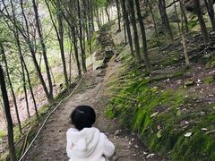 -重庆彩云湖湿地公园