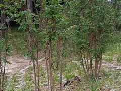 -长辛店二七公园