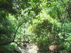 android_upload_pic-火炉山森林公园