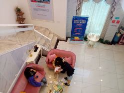 -痘院长·祛痘·皮肤管理