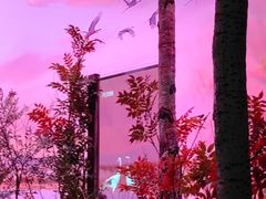 -中国湿地博物馆