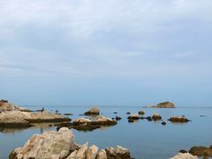 -养马岛旅游度假区