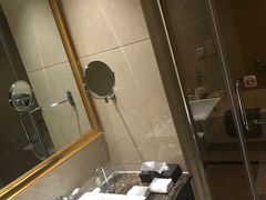 -圣爵菲斯大酒店(长沙世界之窗店)