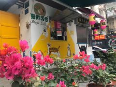 -猫咪博物馆(顶澳仔猫街店)