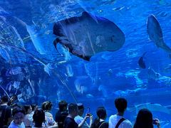 -华夏文旅海洋公园