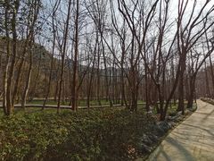 -五泄景区